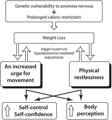 Restlessness and an Increased Urge to Move (Drive for Activity) in Anorexia Nervosa May Strengthen Personal Motivation to Maintain Caloric Restriction and May Augment Body Awareness and Proprioception: A Lesson From Leptin Administration in Anorexia Nervosa